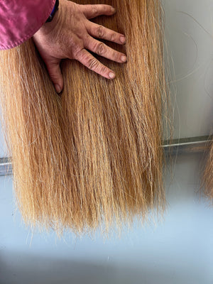 Qhorse length Very light chestnut 100 cm cut end Double plus thickness