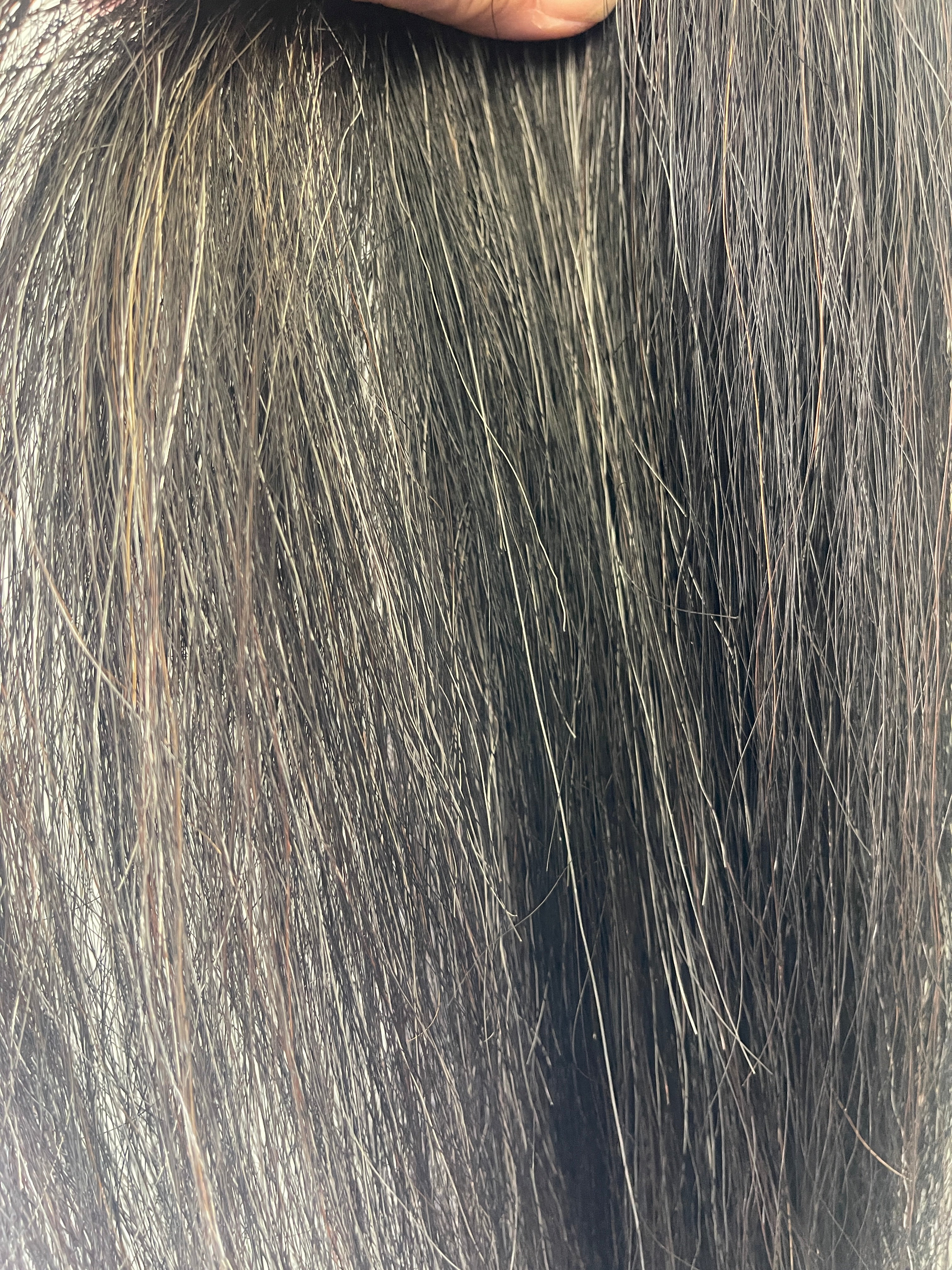 Dark Grey 70-76 cm long natural end Single thickness