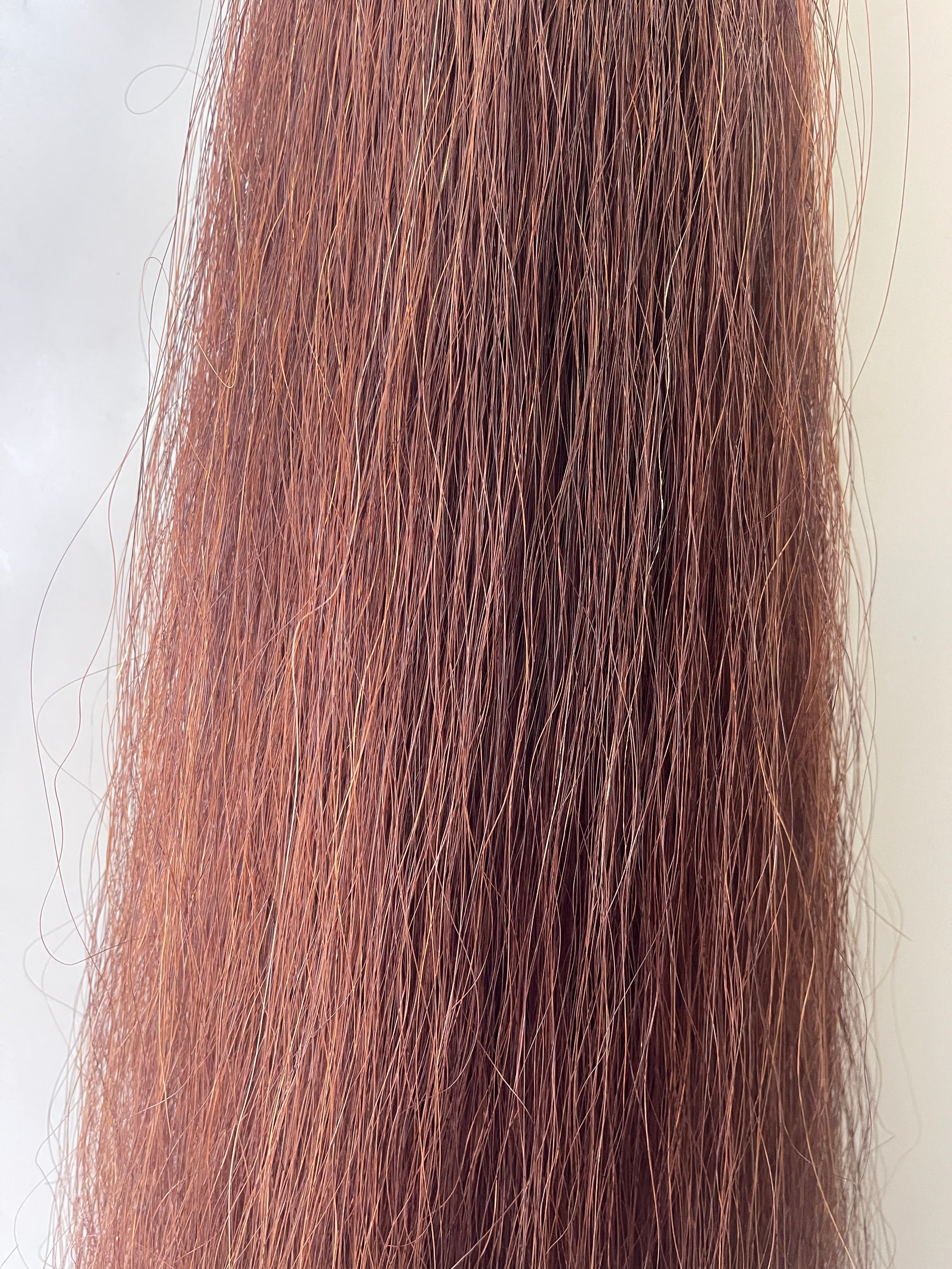 Red Chestnut Stockhorse length 86 cm cut end Double thickness