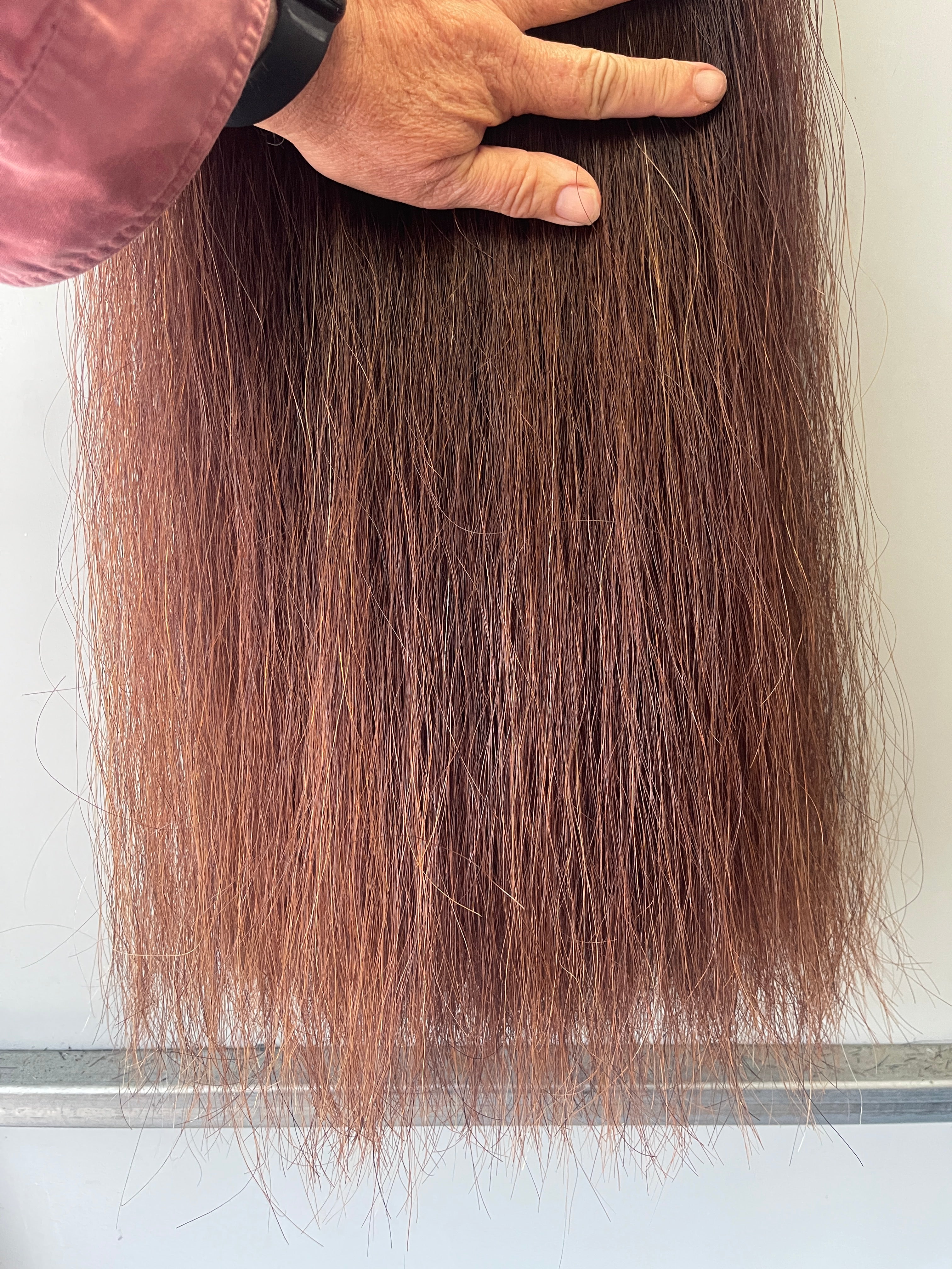 Red Chestnut Stockhorse length 86 cm cut end Double thickness