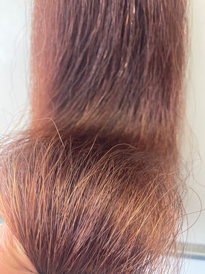 Red Chestnut Stockhorse length 86 cm cut end Double thickness
