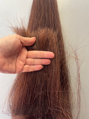 Red Chestnut Stockhorse length 86 cm cut end Double thickness
