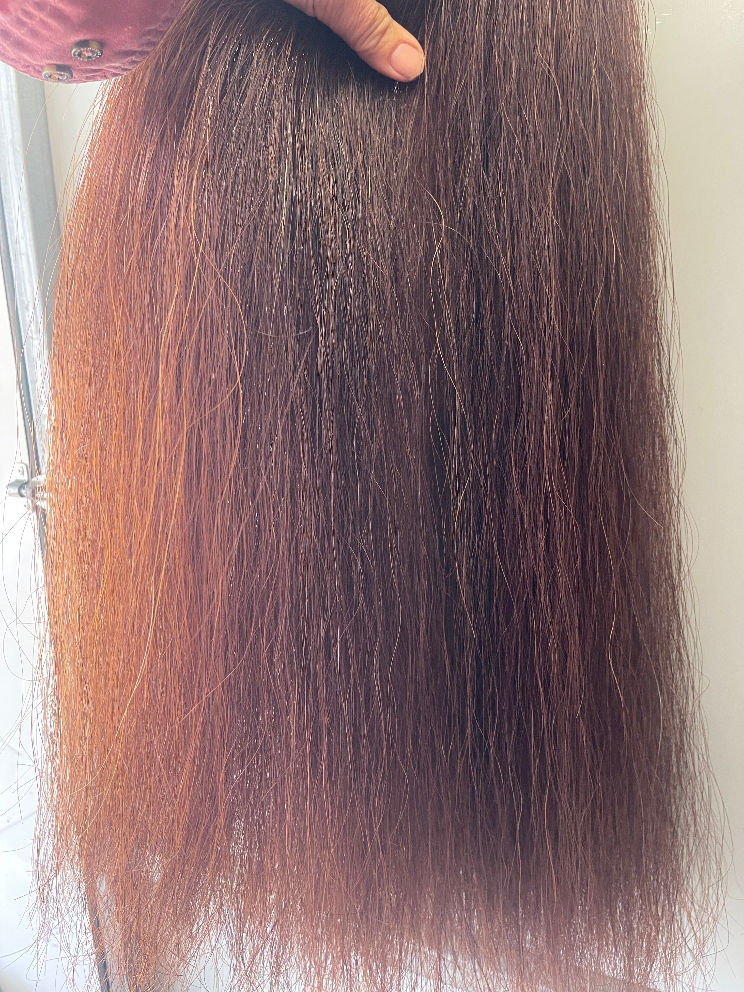 Red Chestnut Stockhorse length 86 cm cut end Double thickness