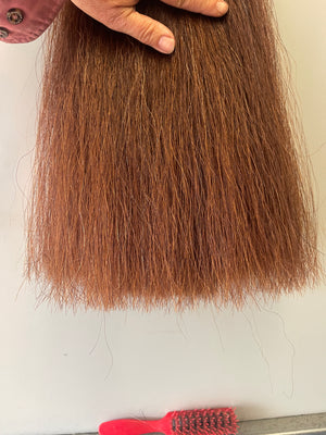 Red chestnut Double thickness 62 cm cut end
