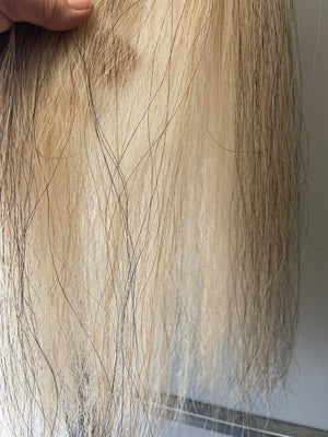 Grey light chestnut blend 70 cm natural end Full plus ( 1.5 times )