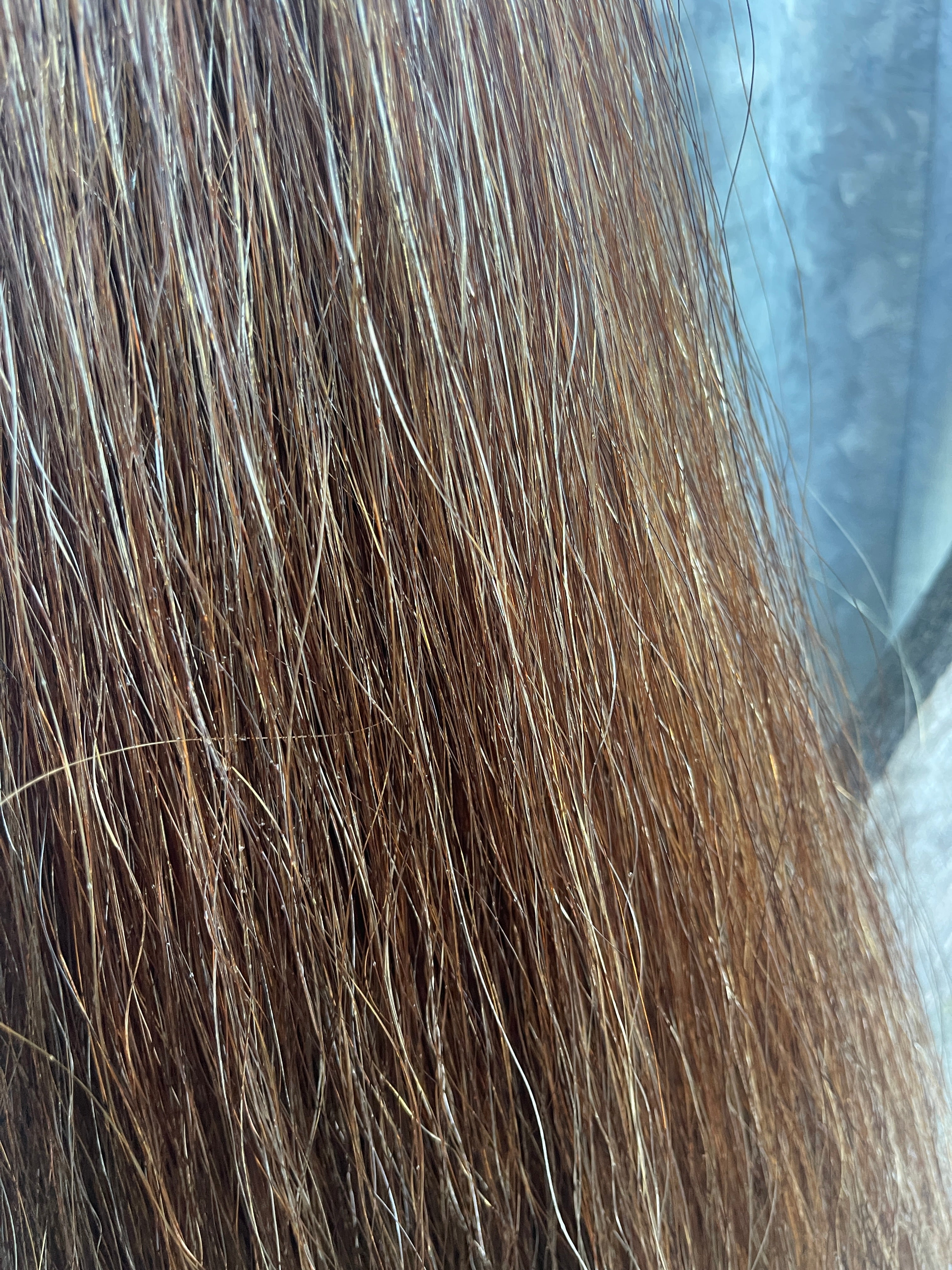 Chestnut flaxen mix full + 64cm