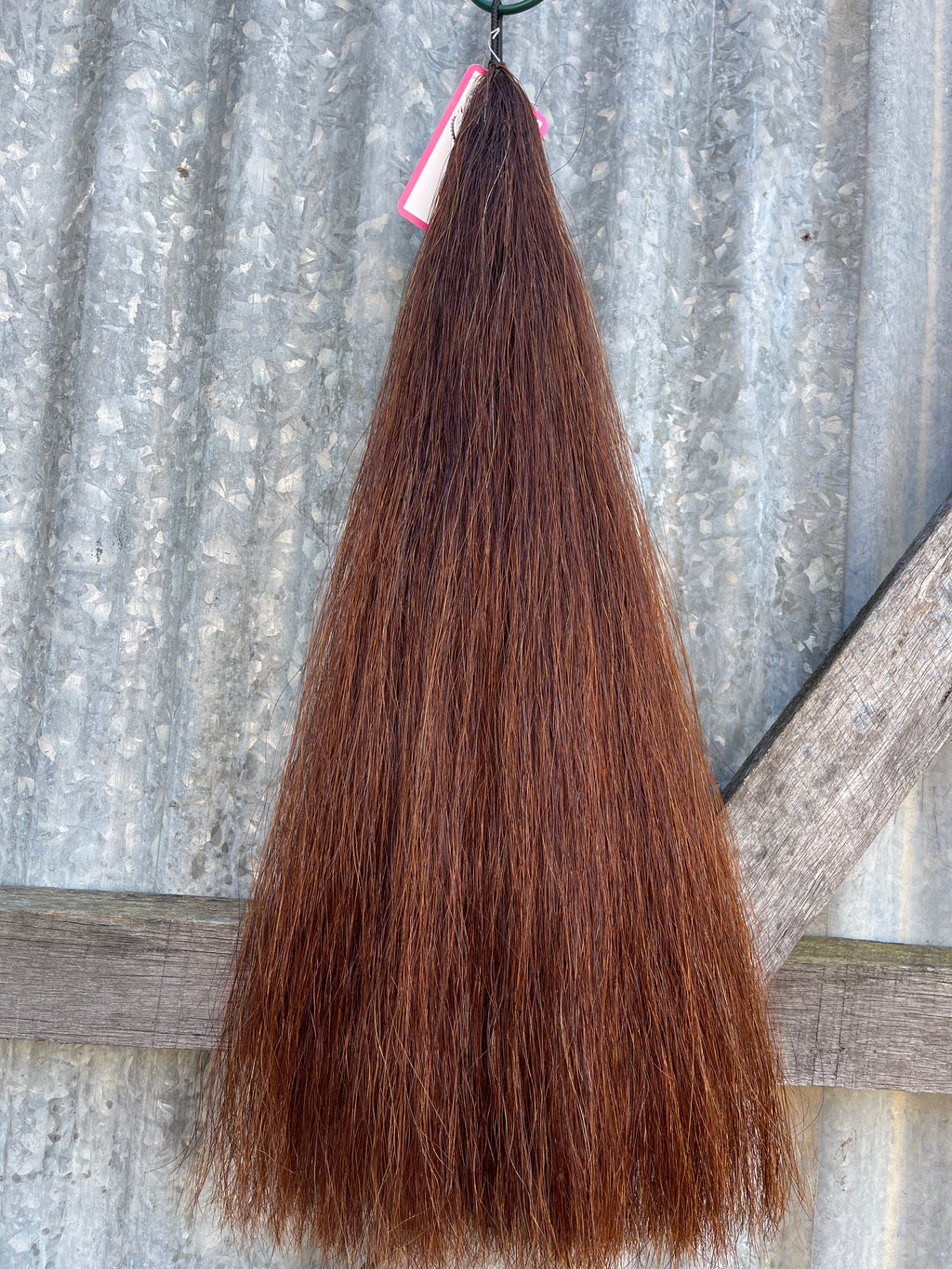 Red chestnut Full plus (1.5 times ) 61 cm cut end