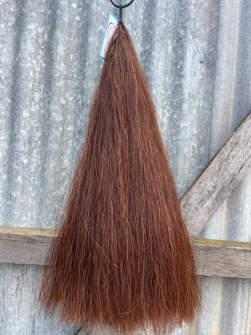 Red chestnut 62 cm long cut end Double thickness
