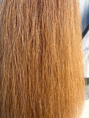 Lighter chestnut blend 65 cm natural end Full plus (1.5 times )