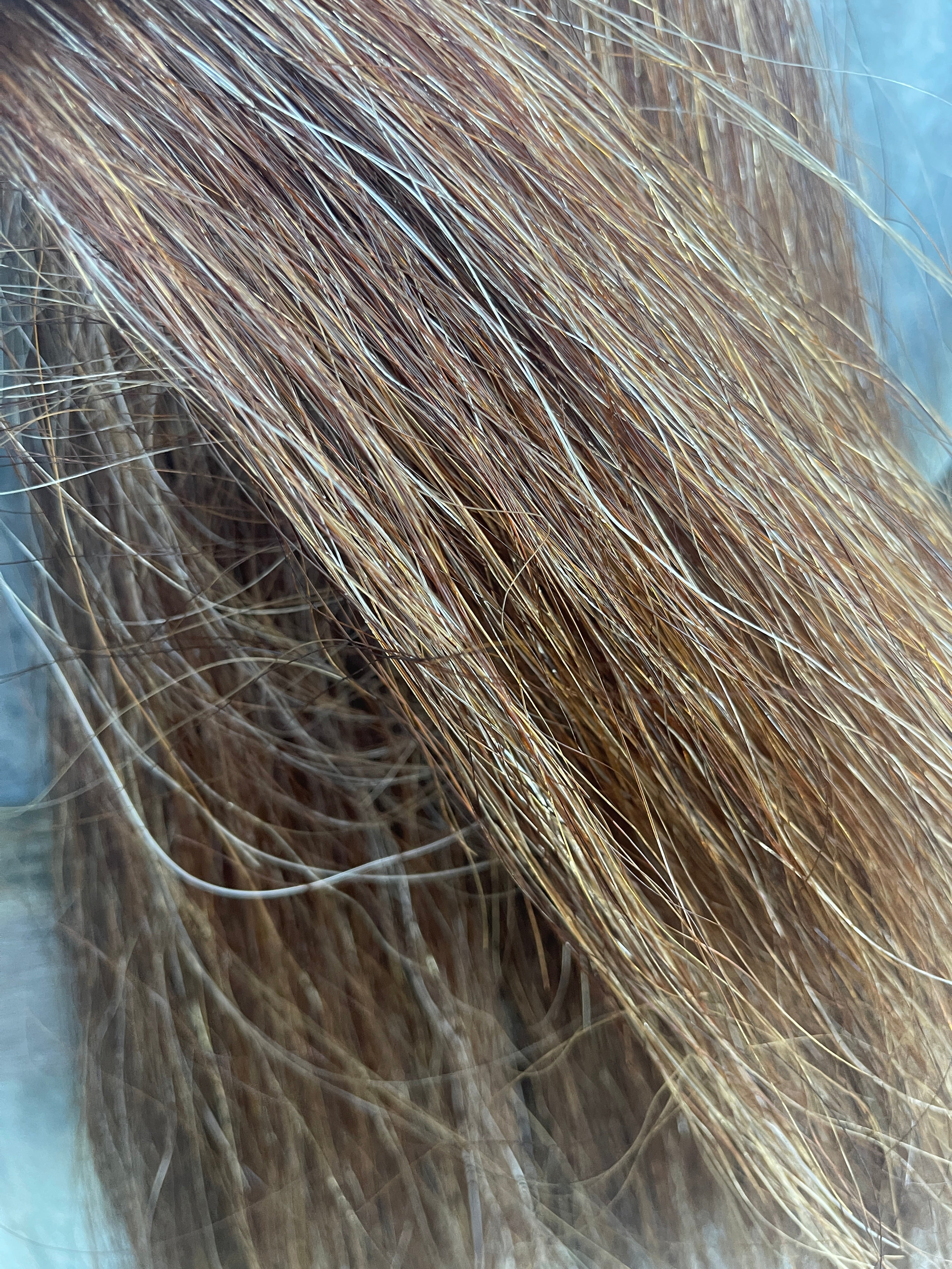 Chestnut flaxen mix full + 64cm